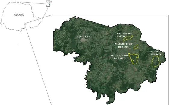 FIGURA 1: Localização das quatro áreas de estudo no município de Rebouças, PR. 