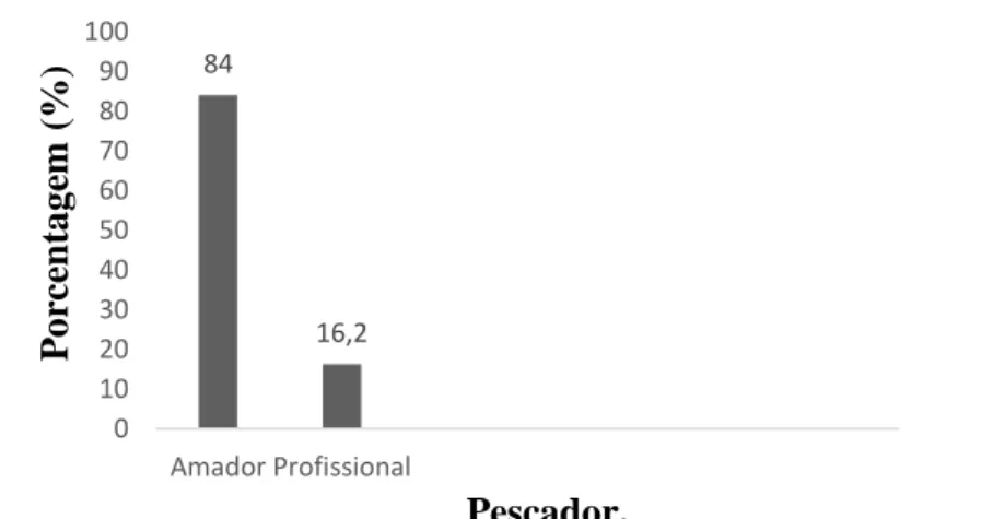 Gráfico 1. Relação percentual dos pescadores profissionais e amadores do rio Aquidauana,  município de Aquidauana – MS