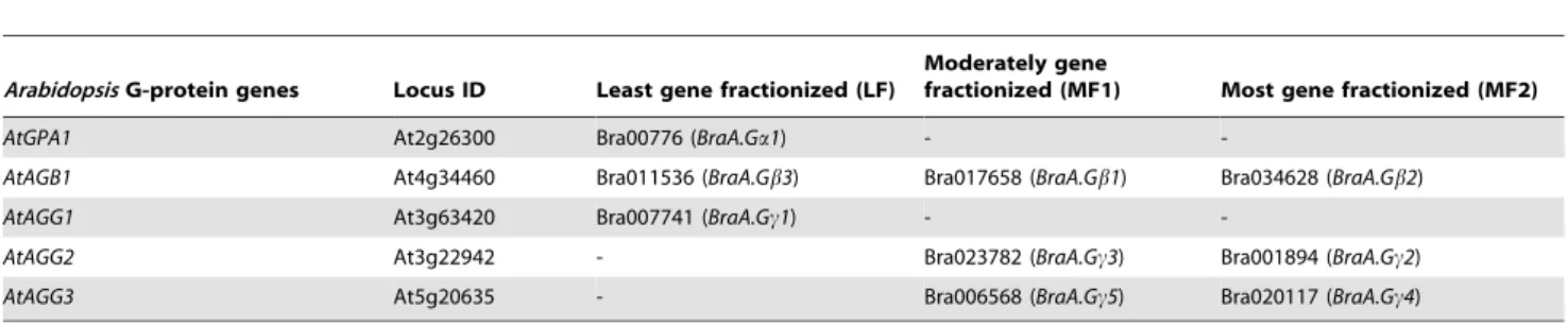 Figure 4. Expression pattern of G-protein genes in different tissues of B. rapa . Relative transcript accumulation of (A) BraA.Ga1 and BraGb genes; and (B) BraGc genes across different tissue types of B