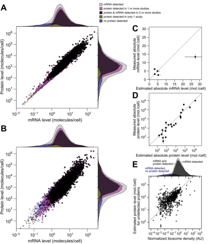 Fig 5. Integrated estimates of mRNA and protein levels using a structured covariance model (SCM)