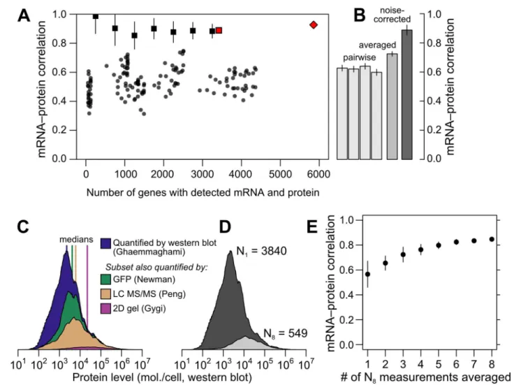 Fig 2. Correlations between mRNA and protein levels vary widely and are systematically reduced by experimental noise