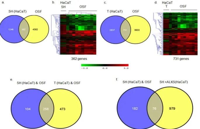 Fig 3. Genes regulated by areca nut in epithelial cells and OSF are via TGF-β. Previously published transcriptome profile of OSF tissues (GSE 20170) [6] was compared with that of areca nut and/ or TGF-β regulated transcriptome in HaCaT (GSE 38227) [10] and