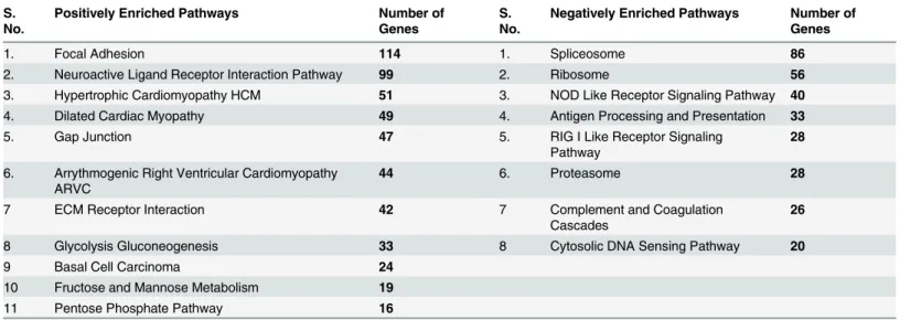 Table 5. Gene Set Enrichment analysis of differentially regulated genes in hGF cells by areca nut and TGF-β.