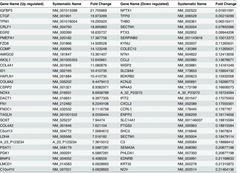 Table 3. List of top 30 up or down regulated genes in hGF cells by TGF-β (T).