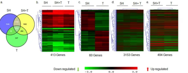 Fig 1. Areca nut and TGF-β induced transcriptome profile in fibroblast (hGF) cells. a] Venn diagram representing differentially regulated genes by areca nut and/or TGF-β in hGF cells