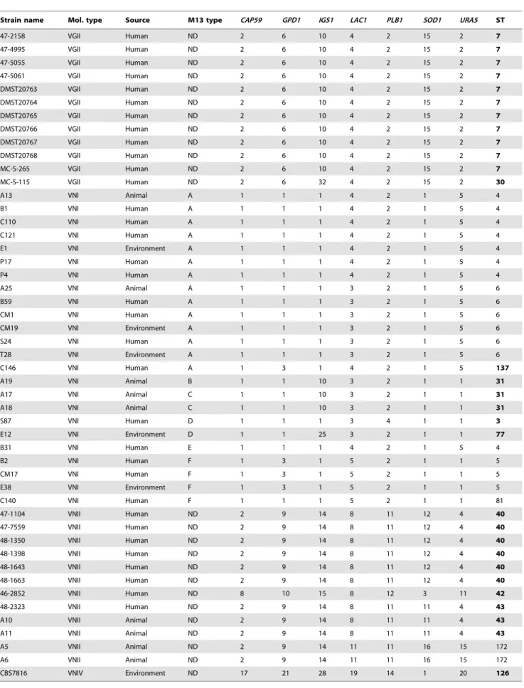 Table 3. Allele types and sequence types of selected Thai cryptococcal isolates.