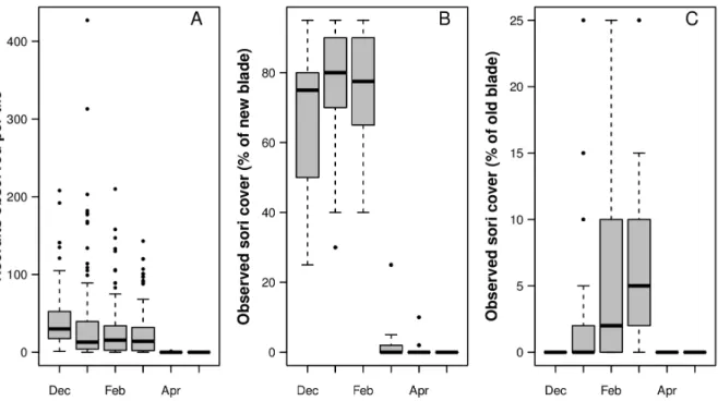 Figure 1. Summary of results from the field experiment (December 2007–May 2008). Boxplot A shows the number of recruits observed on the tiles