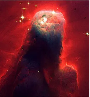 Fig. 3 - Nebulosa do Cone 