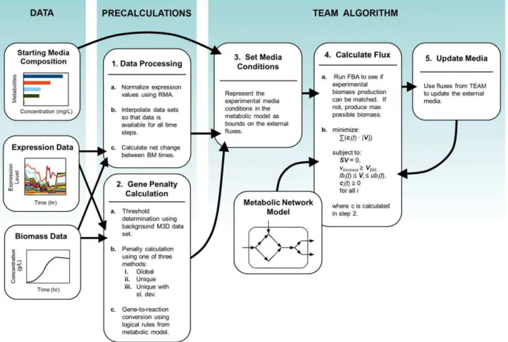 Figure 1. Workflow for integrating multiple data types with TEAM. TEAM integrates three types of experimental data: starting media composition, expression data, and biomass data