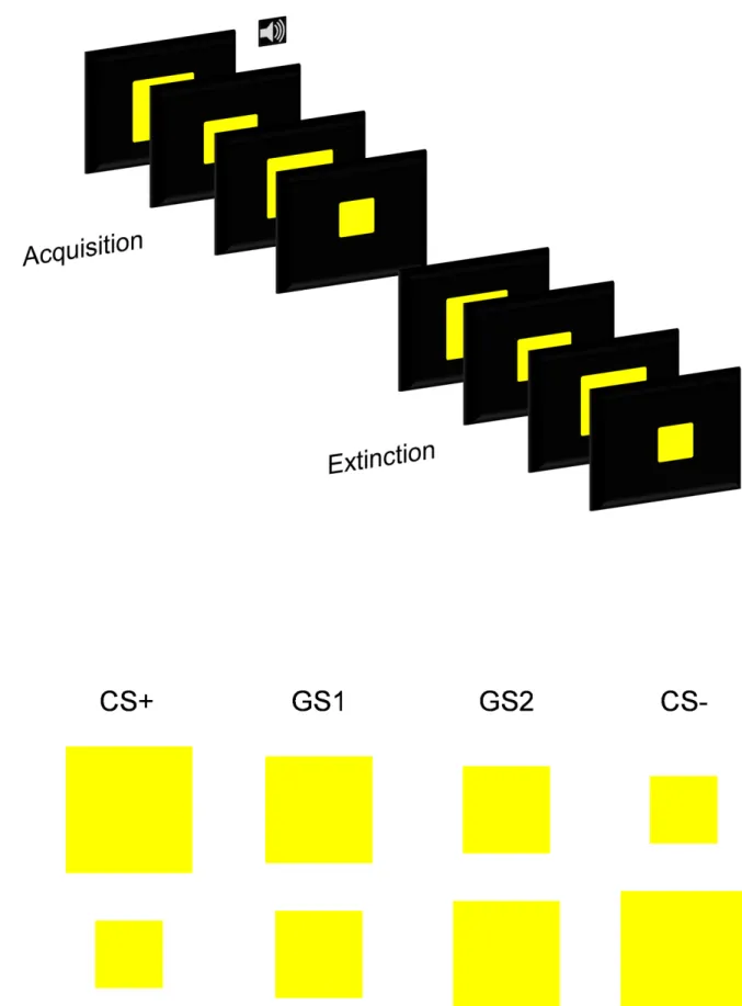 Fig 1. Experimental design. Illustration depicting: (A) Example trial order from the acquisition and extinction phases