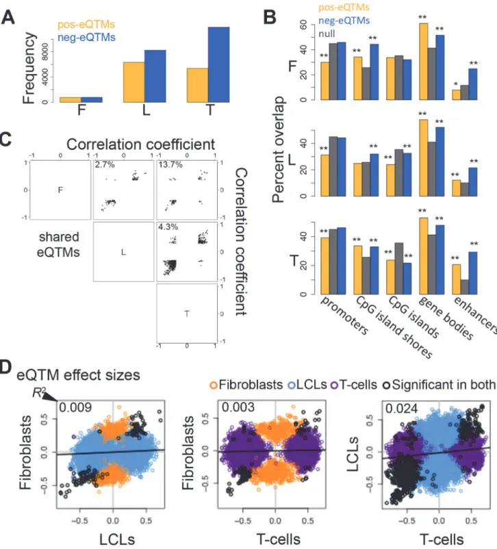 Figure 4. Properties of DNA methylation when associated to gene expression. (A) Number of all significant positive (pos-eQTMs) and negative (neg- (neg-eQTMs) correlations between DNA methylation and gene expression in fibroblasts (F), LCLs (L) and T-cells 