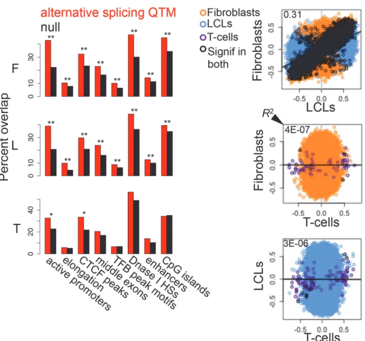 Figure 6. Associations between DNA methylation and alternative splicing. (A) Methylation sites associated to alternative splicing (asQTMs) are significantly enriched for active promoters, elongation marks, CTCF peaks, middle exons, transcription factor bin