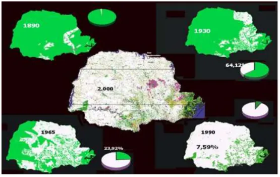 Fig 1: Fragmentação da Vegetação Natural do Estado do Paraná.  