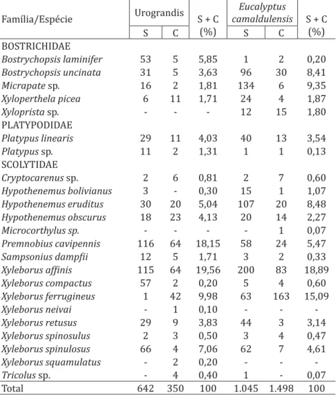Tabela 6 - Famílias, espécies e número de indivíduos coletados com  armadilhas etanólicas nos talhões de Urograndis e de  Eu-calyptus camaldulensis, no município de Cuiabá, MT, período  de abril/2008 a março/2009