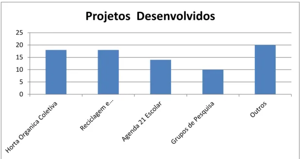 Figura 1: Projetos em andamento mais citados, dos quais fazem parte os participantes da oficina