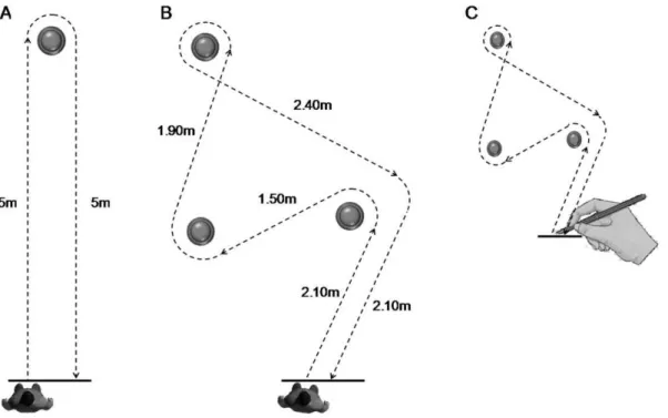 Figure 1. Motor tasks. (A) First walking task: the participants actually or mentally walked along a path which consisted of two straight lines and implied one change in the walking direction