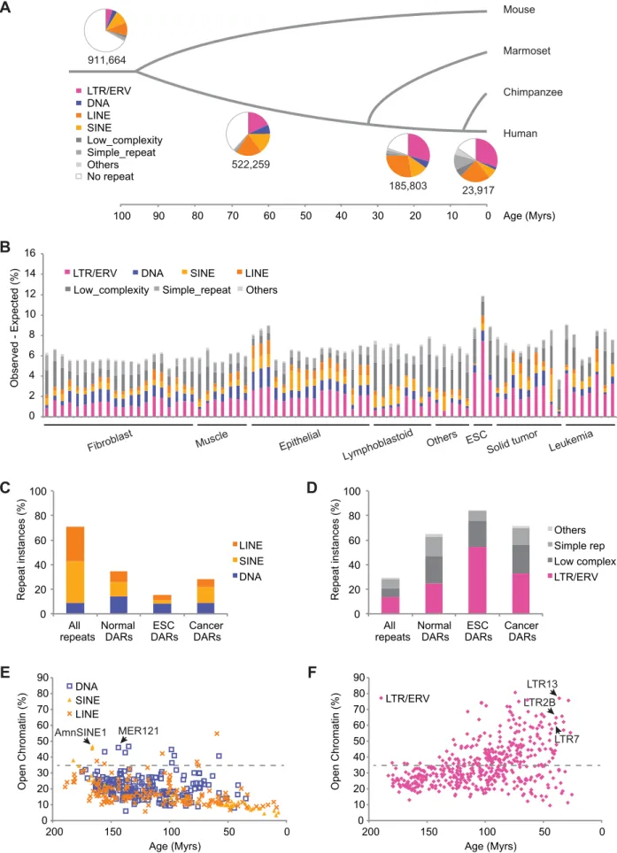 Figure 1. TEs have contributed a large fraction of accessible regions in human cells. (A) Proportion of human DHS regions overlapping different classes of repeats based on the age of the sequence in which they are embedded