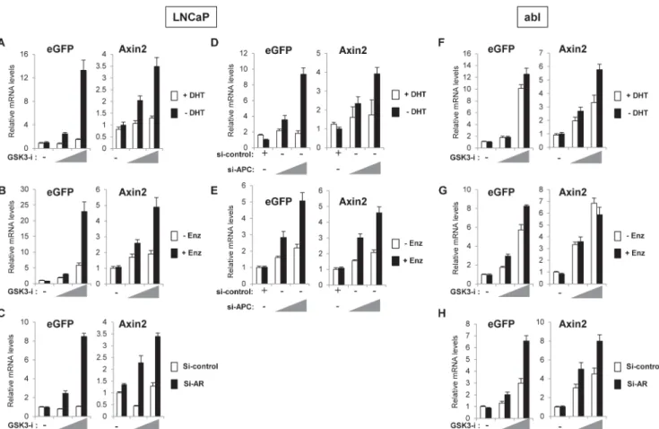 Fig 2. Inhibition of AR activity enhances Wnt/β-catenin target gene expression in response to GSK-3 inhibitor or APC knockdown