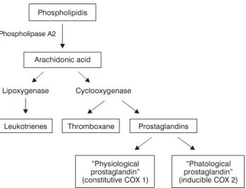 Figure 1 - Mechanism of action of nonsteroidal anti-inflammatoriesPhospholipidisArachidonic acidLipoxygenaseLeukotrienesThromboxane Physiological prostaglandin (constitutive COX 1) Phatological prostaglandin (inducible COX 2)ProstaglandinsCyclooxygenas