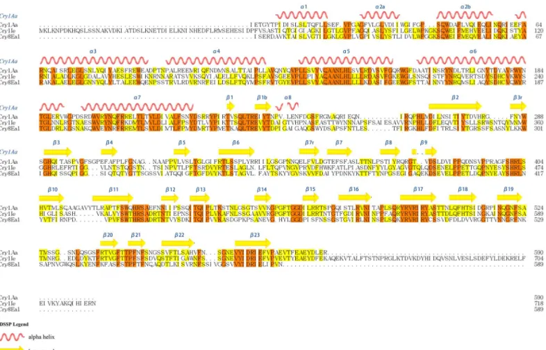 Fig 3. Multiple sequence alignment of primary sequence of Cry1Aa (BAA04468.1), Cry1Ie and Cry8E (AAQ73470.1) proteins