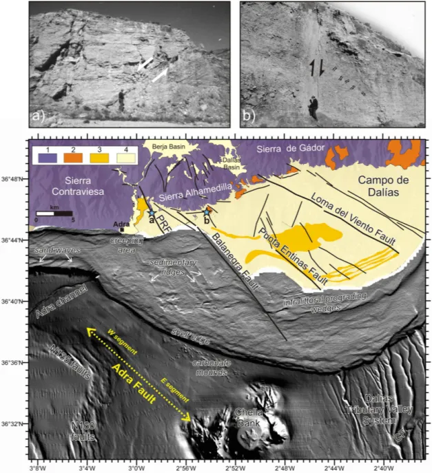 Fig. 2. Shaded relief bathymetric map of the Adra–Almer´ıa margin. The Adra Fault and segments are marked in yellow