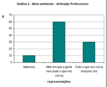 Gráfico 1 - Meio ambiente - definição Professores 