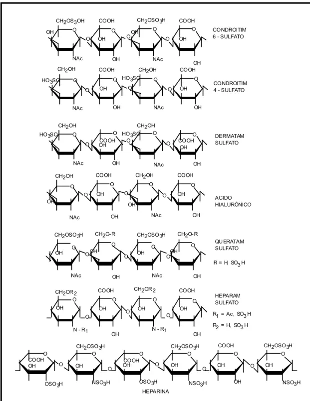 Figura 3. Unidades estruturais dos glicosaminoglicanos. 