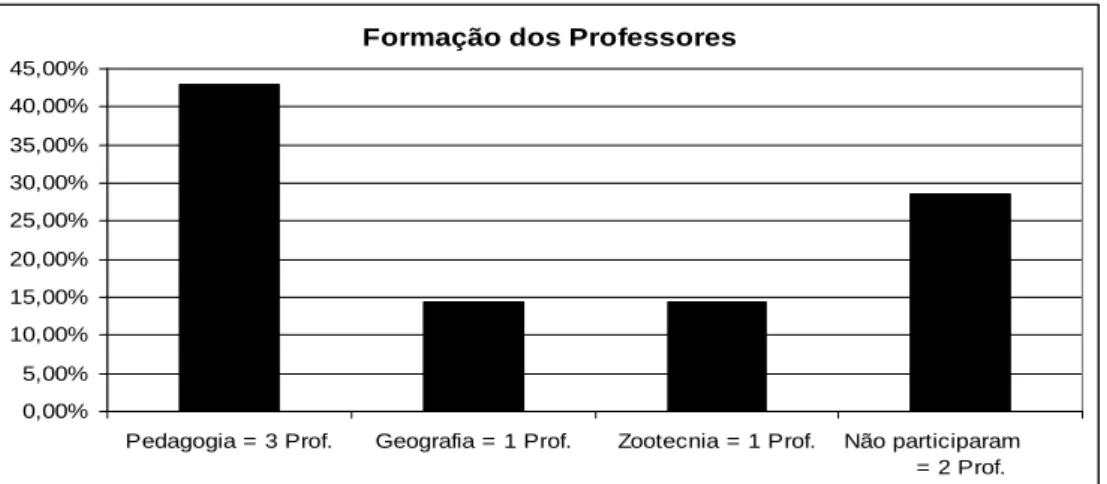 Figura 5: Formação dos Professores 