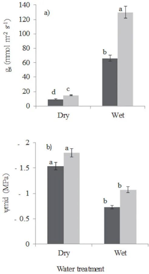 Fig 3. Seedling leaf physiological traits: (a) stomatal conductance (g s ), (b) midday leaf water potential (ψ mid ) of plants from which water was withheld and plants that received daily watering for 9 weeks in 5% of full sunlight (black bars) and 20% of 