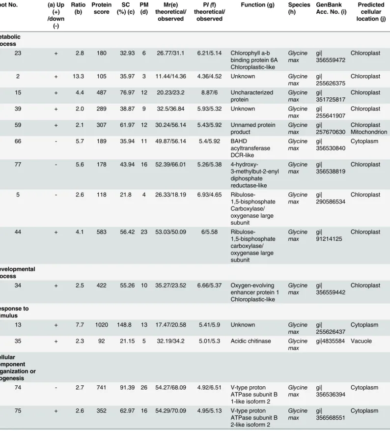 Table 1. Predicted functions and subcellular locations of soybean leaf proteins in response to B