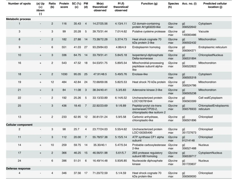 Table 2. Predicted functions and subcellular locations of soybean stem proteins responsive to B