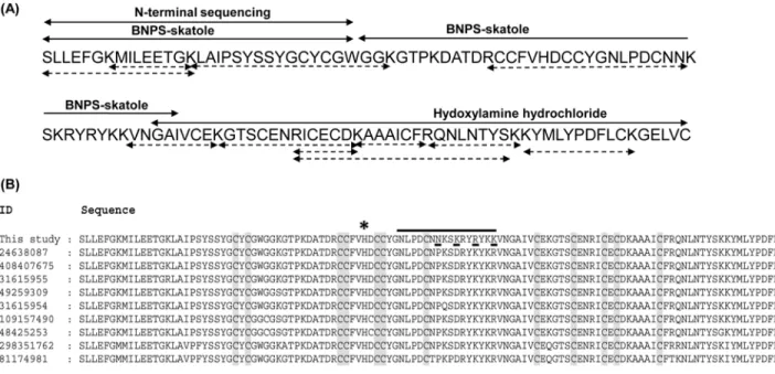Fig 3. Primary structure of daboxin P. (A): Amino acid sequence was deciphered by Edman degradation sequencing and ESI-LC MS/MS