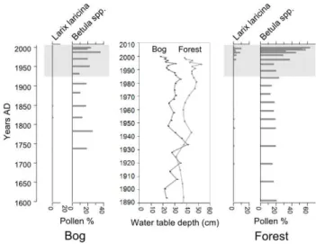 Fig. 2. Pollen records of important trees at the site and testate amoeba-based water table reconstructions from peat cores sampled on each side of the drainage ditch (approx