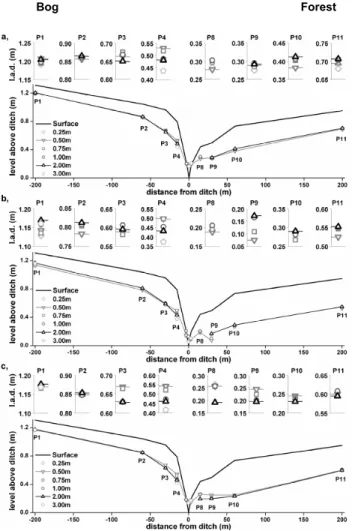 Fig. 4. Hydraulic heads of all piezometer nests on three different days: 13 August (a), 2 September (b) and 4 October (c)