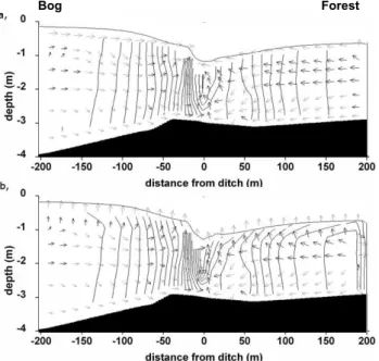 Fig. 6. Mean chloride concentrations in µmol L −l in the pore water across the transect
