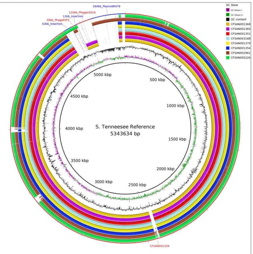 Fig 1. Whole genome alignment showing placement of mobile elements (outer rings) in representative samples of this study, GC skew (inner ring) and GC content by strand (second ring).