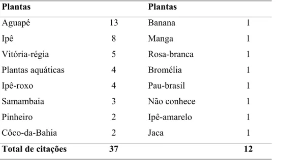 Tabela 02: Plantas e número de citações pelos alunos.  