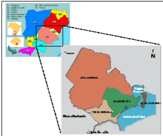 Figura 1 – Mapa do município de Pelotas, RS.  