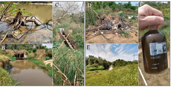 Figura 6. A) presença de lixo no corpo d’água; B) erosão do solo nas margens do igarapé; C) ponto de  lançamento de esgoto; D) lixo depositado a margem do igarapé; E) conversão de mata ciliar em área de 