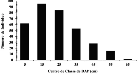 Figura 4. Frequência de árvores em relação ao diâmetro à altura do peito (DAP), para os indivíduos inventariados  na Avenida Marechal Rondon, Santarém-PA.