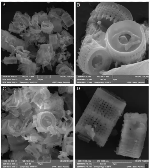 Figura 7. Microscopia eletrônica de varredura (MEV) da terra diatomácea  in natura  FW-14, em (A) com a  ampliação de 5.000 vezes, em (B) a ampliação de 15.000 vezes