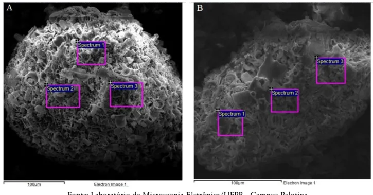 Figura 8. Espectroscopia de Energia Dispersiva (EDS) de amostras  in natura  de terra diatomácea FW-14 em (A); 