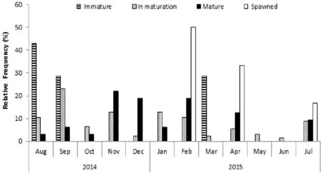 Figure 3. Monthly frequency of  the different gonadal maturity stages of  P. squamosissimus females marketed in  Santarém-PA from August 2014 to July 2015.