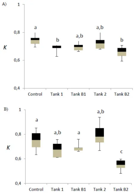 Figure 2. Condition Factor ( K ) of  barbels used in Cu exposition assays: (A) first assay; (B) second assay  (different letters corresponded to significant differences).