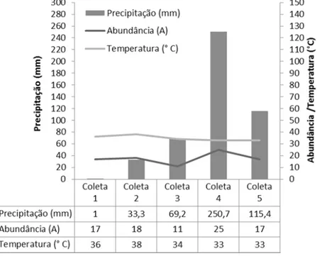 Figura 4 - Precipitação, temperatura e abundância registradas em cinco coletas, no período de agosto de 2014 a junho de  2015, no riacho Mutum, Demerval Lobão, Piauí, Brasil.