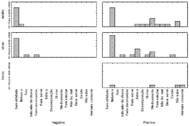 Figura 3 - Histograma da categorização das variáveis quanto à faixa etária da importância dada aos macrofungos, citados  pelos informantes da Comunidade Novo Zabelê, São Raimundo Nonato, Brasil, utilizando o programa do STATISTA 8.0.