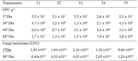 Tabela 6 - Dados da quantificação de bactérias durante o início e o final de cada processo e carga total bacteriana