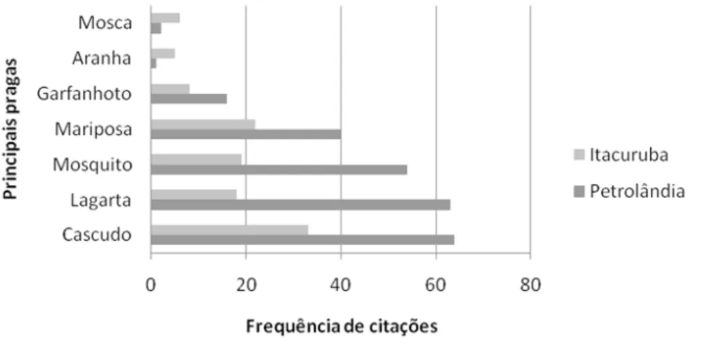 Figura 3 - Principais artrópodes citados pelos agricultores locais, como alimento para os anuros da região agrícola de  Petrolândia e Itacuruba/PE.