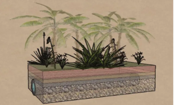 Figure 1 - Schematic drawing of  an evapotranspiration tank.