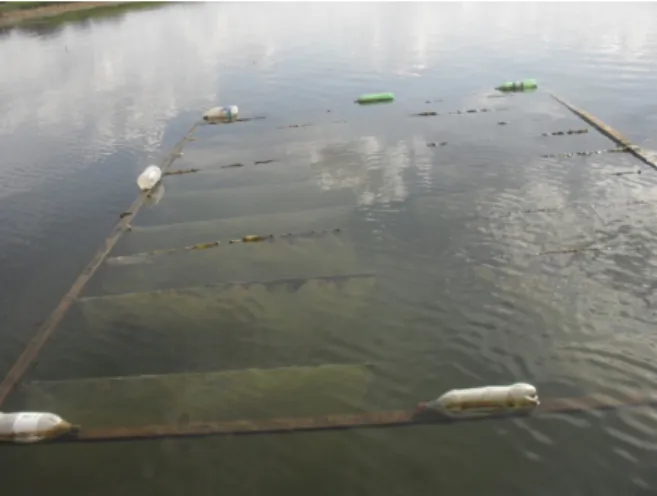 Figure 2 - Floating structures, using plastic for fixing the biofilme, apllied at Taperoá Dam